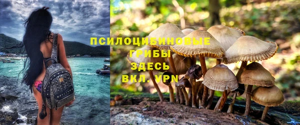 спайс Армянск